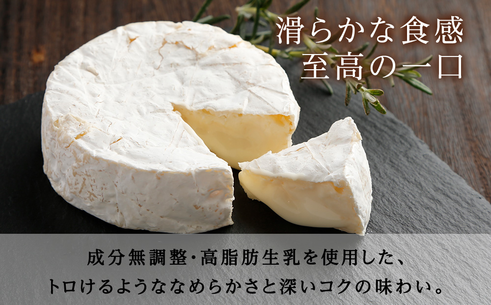 【訳あり・お試し】カマンベールチーズ・ホワイトブルーチーズ 90g　各2個