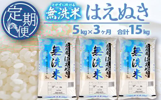 【3回定期便】無洗米 はえぬき 5kg×3回 (計15kg) SA SF0358