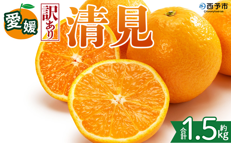 ＜【訳あり】愛媛県産 清見 約1.5kg＞『2027年2月上旬～4月下旬迄順次発送予定』 わけあり ジューシー 果肉 訳アリ きよみ みかん 柑橘 蜜柑 果物 くだもの フルーツ ミカン 果汁 国産 特産品 株式会社三代目みかん職人 愛媛 西予市【常温】