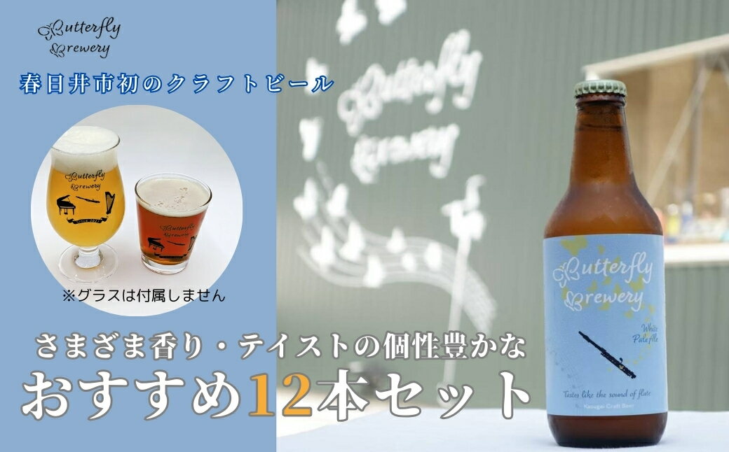 【ふるさと納税】楽器シリーズのクラフトビール（12本セット | 飲料 アルコール ビール クラフトビール 乾杯 晩酌 贈り物