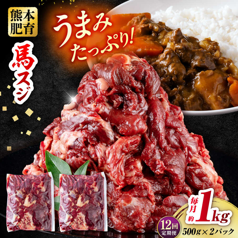 【ふるさと納税】【全12回定期便】 馬スジ 計12kg 1回あたり1kg（500g×2パック） / 馬 スジ 熊本 冷凍 煮込み カレー 料理【五右衛門フーズ熊本店】[AYBV015]