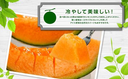 【先行予約】北海道産赤肉メロン合計3kg前後（2玉入）2026年7月中旬から順次発送予定 | メロン _01979