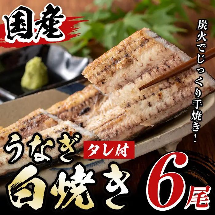 国産！うなぎ白焼き(6尾・タレ付き) 国産 九州産 鰻 ウナギ 無頭 魚 魚介類 かばやき 蒲焼 蒲焼き しろやき 白焼 おかず 特産品 お土産 ギフト プレゼント 冷蔵 【尾方屋】_y510