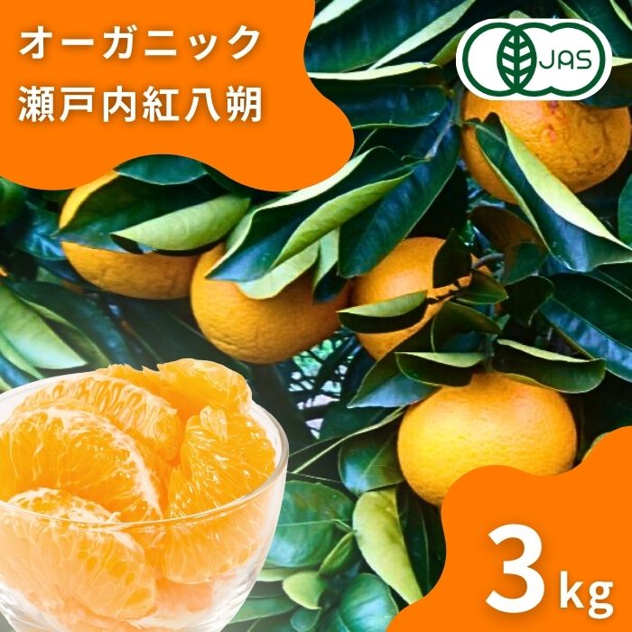 【ふるさと納税】1~2月発送予定 中原観光農園 オーガニック紅八朔 約3kg(7個程度) 広島県 大崎上島町 瀬戸内 離島 国産 有機JAS認証 有機栽培 柑橘 八朔 ハッサク はっさく 果物 フルーツ ギフト 送料無料 産地直送