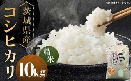 【令和7年産】茨城県産コシヒカリ 精米 10kg お米 米 コメ こめ おこめ 白米 ごはん ご飯 コシヒカリ こしひかり 茨城県 守谷市