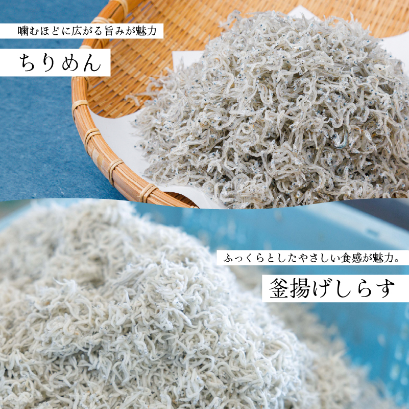 一級品 しらす 500g 釜揚げ  |  冷凍 しらす 釜揚げしらす ごはんのお供 おつまみ 酒の肴 便利 簡単調理 おかず 惣菜 しらす丼 グルメ 食品 魚 魚介 海鮮 シラス 贈答 ギフト 愛媛県