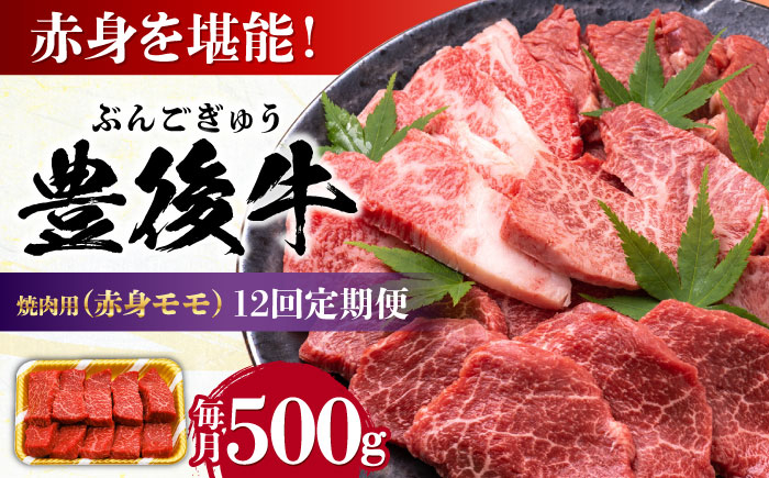 
                  【全12回定期便】おおいた豊後牛 赤身モモ 焼肉用 500g 日田市 / 株式会社MEAT PLUS 牛肉 おおいた豊後牛 おおいた 豊後牛 黒毛和牛 国産 赤身 モモ もも 焼肉 焼肉用 和牛 [AREI094]
                
