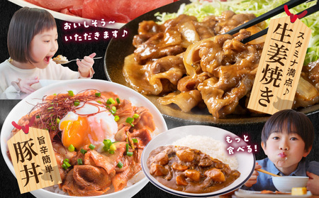 【2026年3月お届け】国産豚肉切り落とし2kgセット_LF-3603-2603