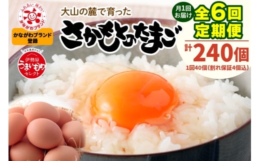 [定期便／6ヶ月] 月1回 さかもとのたまご 40個 (36個＋割れ保証4個) 合計240個｜坂本養鶏 大山の麓で育ったさかもとのたまご 赤玉卵 玉子 鶏卵 伊勢原市 赤玉卵 玉子 生卵 国産 TKG タマゴ 新鮮 大山 鶏 ギフト 安心 安全 親子丼 卵焼き 目玉焼き お菓子[0390b]