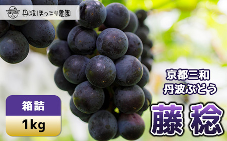【先行予約】8月下旬発送開始！京都三和・丹波ぶどう＜藤稔・箱詰＞1kg ぶどう ぶどう ぶどう ぶどう ぶどう