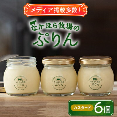 【ふるさと納税】なかほら牧場のぷりん6個セット〔カスタード〕【配送不可地域：離島】【1315184】