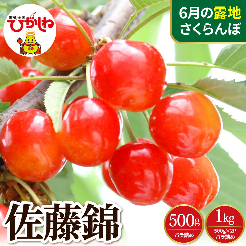 【ふるさと納税】 2027年産 先行予約 さくらんぼ 佐藤錦 秀L バラ詰め ( 500g × 1P / 500g × 2P )/ フルーツ 果物 くだもの 期間限定 先行受付 取り寄せ グルメ ご当地 特産 産地直送 冷蔵 送料無料 東北 山形 東根市