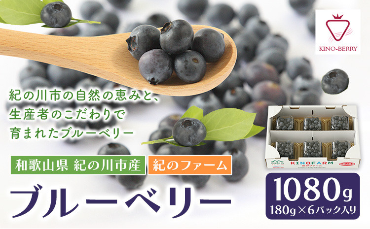 
            ブルーベリー 1080g (180g×6パック入り) 紀のファーム株式会社 《2025年5月中旬-8月上旬頃出荷》 和歌山県 紀の川市
          
