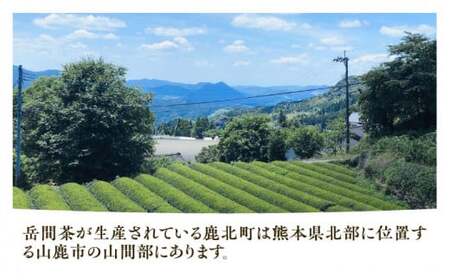 『山鹿市岳間茶』ほうじ茶ティーバッグ4袋セット 5g×80包入【岳間の郷ひがし】[ZCH006]