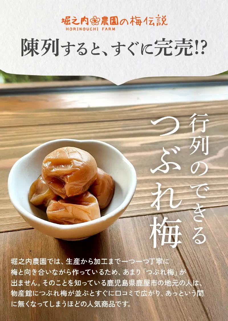 2584 ＜訳あり＞ つぶれ梅 梅干し かのや南高梅 B はちみつ梅 3袋 ×300g （計900g） KN033-004
