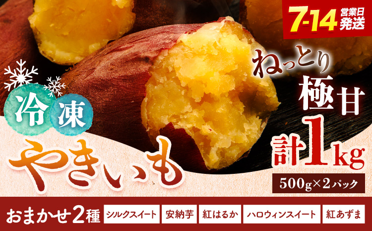 冷凍焼きいも 約1キロ 真空パック 《7-14日以内に出荷予定(土日祝除く)》詰め合わせ 品種ランダム 2品種 シルクスイート 安納芋 ベニアズマ 紅はるか ハロウィンスイート 北海道 日高町 のざわ