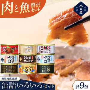 美里町直売所厳選いろいろ9缶セット / 缶詰 缶 セット クジラ 鯨 カルビ 焼肉味 牛タン デミグラスソース 【kany002】 