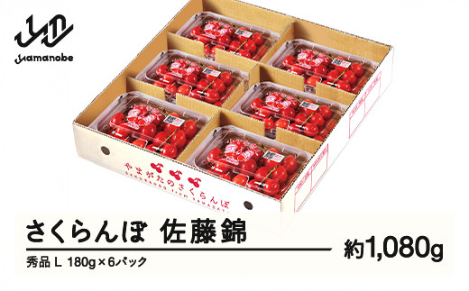 【ふるさと納税】先行予約 さくらんぼ 佐藤錦 秀品 L 約1080g 令和7年産 2025年産 山形県産 フルーツ 果物 tf-snpsl1080