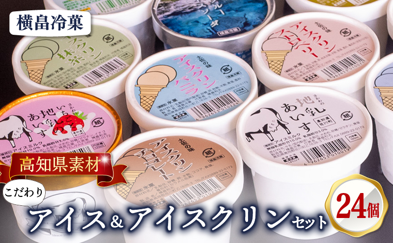 高知 名物 アイスクリン ふるさとの味アイス 24個 セット 【 ゆず 文旦 甘酒 ミルク いちごミルク 生姜 バニラ 抹茶 いちご チョコ ソーダ 人気 カップ スイーツ バラエティ おやつ 詰め合わせ デザート 詰合せ 】 【道の駅須崎】