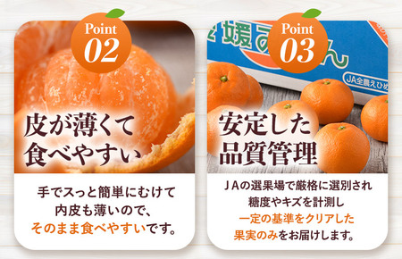 【先行予約】温州みかん4kg [KB00900] 2026年10月下旬～11月下旬に順次発送予定 期間限定 ふるさと納税ミカン 温州ミカン 甘いみかん 愛媛みかん 果物 フルーツ ふるさと納税フルーツ