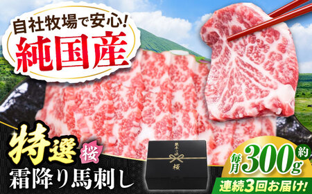 【全3回定期便】『純国産』熊本の味「桜」霜降り馬刺し「特選」 計約900g（約300g×3回）  霜降り   馬刺し 馬刺し 馬刺し 馬刺し 馬刺し[AYCN012]