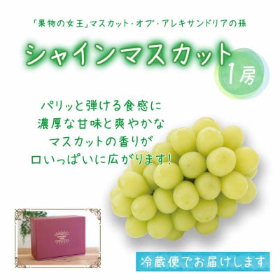 岡山　花笑み農園の『園主おすすめブドウ4種セット』贈答用　2kg　4M-2R上【9月中旬～順次発送】【配送不可地域：離島・北海道・沖縄県】