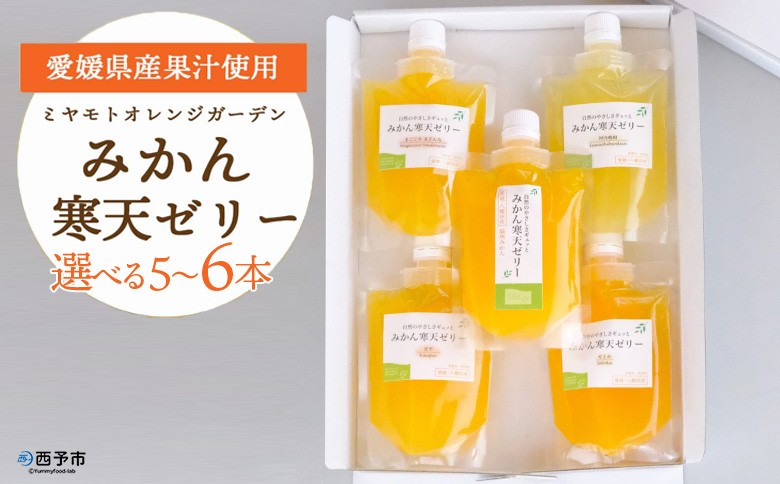 ＜愛媛の柑橘味わい食べ比べ寒天ゼリー 5本／6本＞ 『1か月以内に順次出荷予定』選べる 愛媛柑橘セレクション お任せ 贅沢 フルーツ デザート 果物 みかん ひんやりスイーツ おやつ ギフト 贈り物 特産品 ミヤモトオレンジガーデン 愛媛県 西予市【常温】