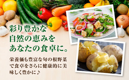 【11月上旬以降順次発送】【ニセコ町産】秋のうまいもん 6種セット《喜茂別町》【ニセコビュープラザ直売会協同組合】 先行予約 セット 詰め合わせ 秋野菜　冬野菜 季節の野菜 たまねぎ じゃがいも 先行