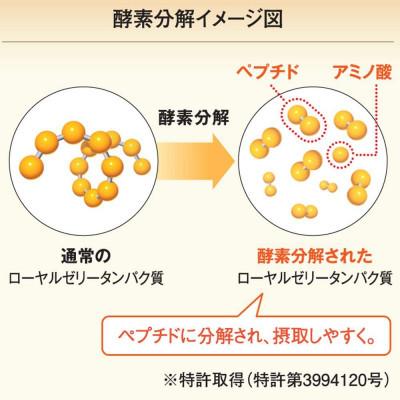ふるさと納税 津山市 山田養蜂場　酵素分解ローヤルゼリーキング　100粒袋入(604) |  | 01