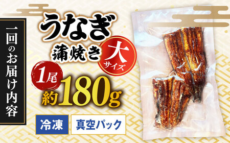 【うなぎや】 【6回定期便】 炭火焼 うなぎの蒲焼き 1尾 【紀州備長炭使用】 鰻 ウナギ 丑の日 多治見市 [TFO005]
