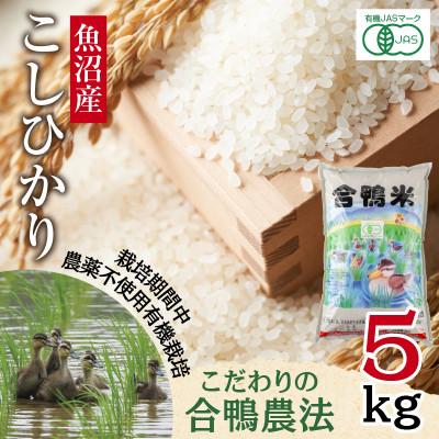 ふるさと納税 十日町市 【精米】魚沼産 コシヒカリ 5kg 栽培期間中農薬不使用 あいがも農法 有機栽培米 新潟県十日町市