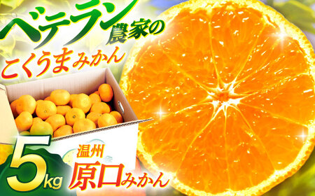 【数量限定】温州高糖度 原口みかん 約5kg【長崎ぶんたんの会】 [OAF004] / みかん みかん みかん みかん みかん みかん みかん