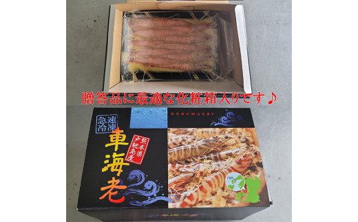 車海老の味噌漬（中〜大サイズ）計750g（250g×3）海老 えび 味噌漬け