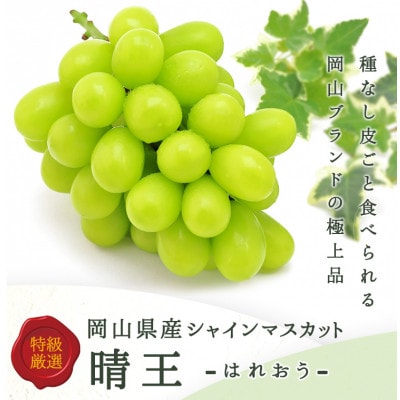 岡山県産詰合/ニューピオーネ2房(1房480g以上)・シャインマスカット晴王2房(1房480g以上)【配送不可地域：離島・北海道・沖縄県】