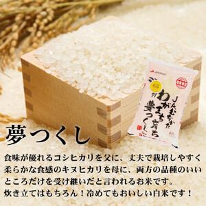 新米！！令和7年産 福岡県産米 食べ比べセット(夢つくし・元気つくし) 合計10kg (各5kg×1袋ずつ)