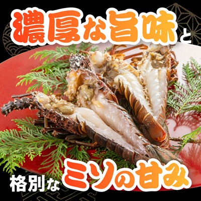 伊勢海老の干物200g×2尾【配送不可地域：離島】
