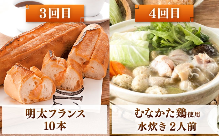 福岡 定期便 明太子 もつ鍋 水炊き 明太フランス 鍋 セット