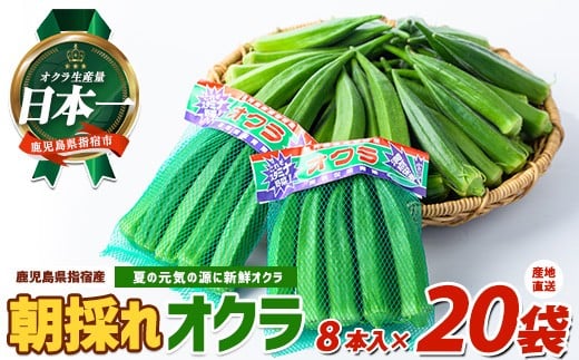 
            【2025年6月上旬～発送！】夏の元気の源! 朝採れ新鮮いぶすきオクラ8本入り20袋(指宿促成青果/A-323) 野菜 夏野菜 旬 特産 夏 新鮮 オクラ 鹿児島 指宿市 お福分け おすそ分け
          