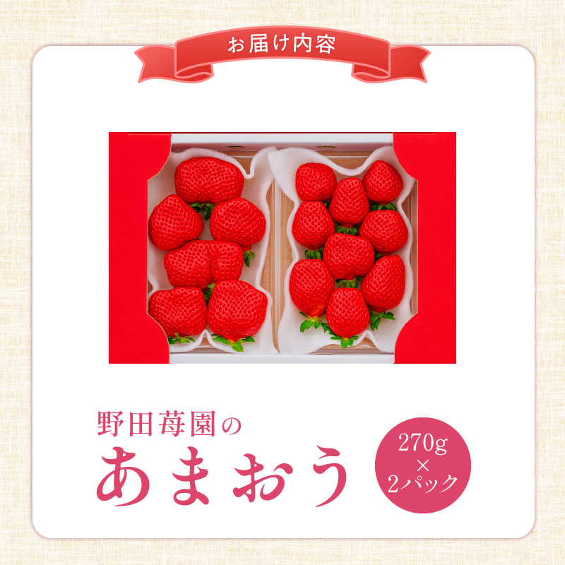 【ANA限定】苺（あまおう）270g×2パック×1箱 _ 特別規格 少量 気軽 限定セット 野田苺園 苺農園 こだわり 安心安全 新鮮 フルーツ 果物 ブランドいちご 福岡産 国産いちご おやつ デザ