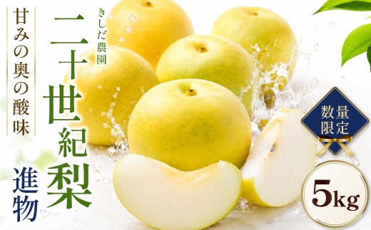 【数量限定】きしだ農園 二十世紀梨（進物） 5kg