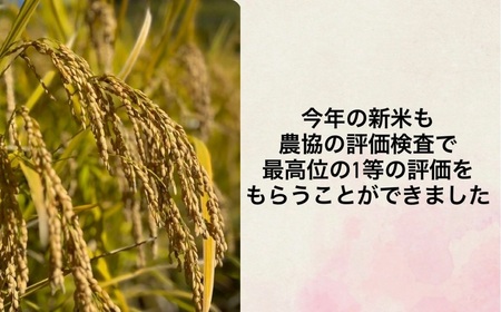 JBC-2.【お米の定期便】＜特別栽培米＞桜井市高家産 ヒノヒカリ（玄米）5kg×6回（隔月）