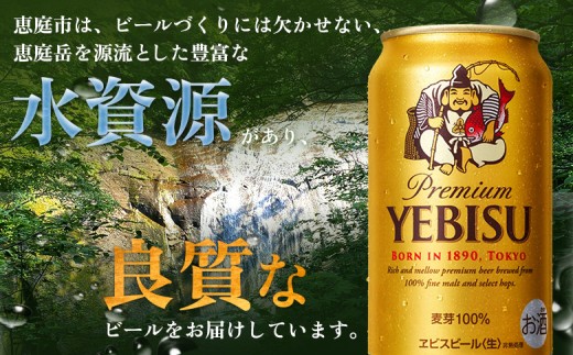 【定期便：全5回】サッポロヱビスビール 350ml×24本