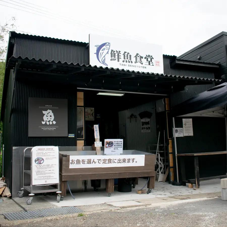 高知県産 鮮魚 詰め合わせ便 4kg 谷鮮魚食堂 内臓未処理 産地直送 生魚 海鮮 セット 刺身 刺し身 煮付け カツオのたたき 詰合せ 食べ比べ グルメ 魚 お取り寄せ ギフト 贈答用 鮮魚セット 