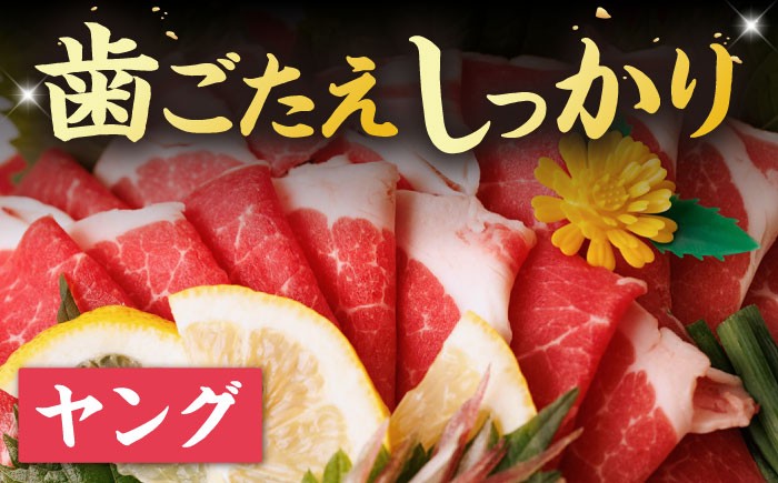 馬刺し ヤング 馬刺し 馬肉 桜肉 馬 肉 便利 小分け 3パック タレ付き 歯ごたえ 冷凍 刺身 九州 熊本県 送料無料 