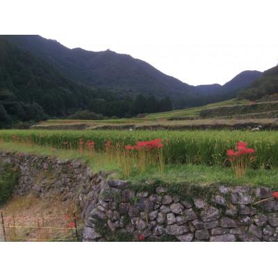 ふるさと納税 山鹿市 令和7年産菊鹿の米ヒノヒカリ　5kg×2 |  | 02