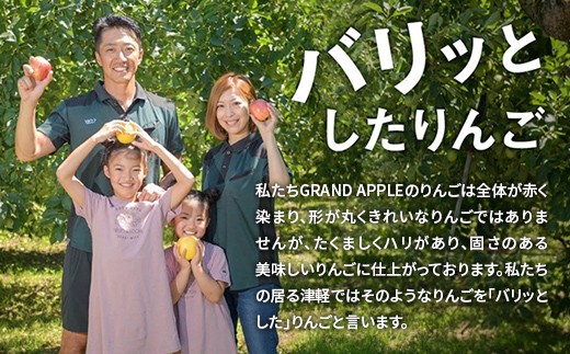 【先行予約】葉とらず早生ふじ 特A 家庭用 約3kg【グランドアップル】 青森りんご リンゴ 林檎 アップル 果物 くだもの フルーツ  F41-0034