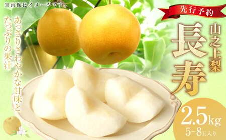 《先行予約》｢丸坂山田農園｣山之上梨 長寿 1箱 （ 約2.5kg ／ 5～8玉 ） 【2026年7月下旬～8月上旬 発送予定】 │ 梨 ナシ なし くだもの 果物 果実 フルーツ 冷蔵 岐阜県産 国産