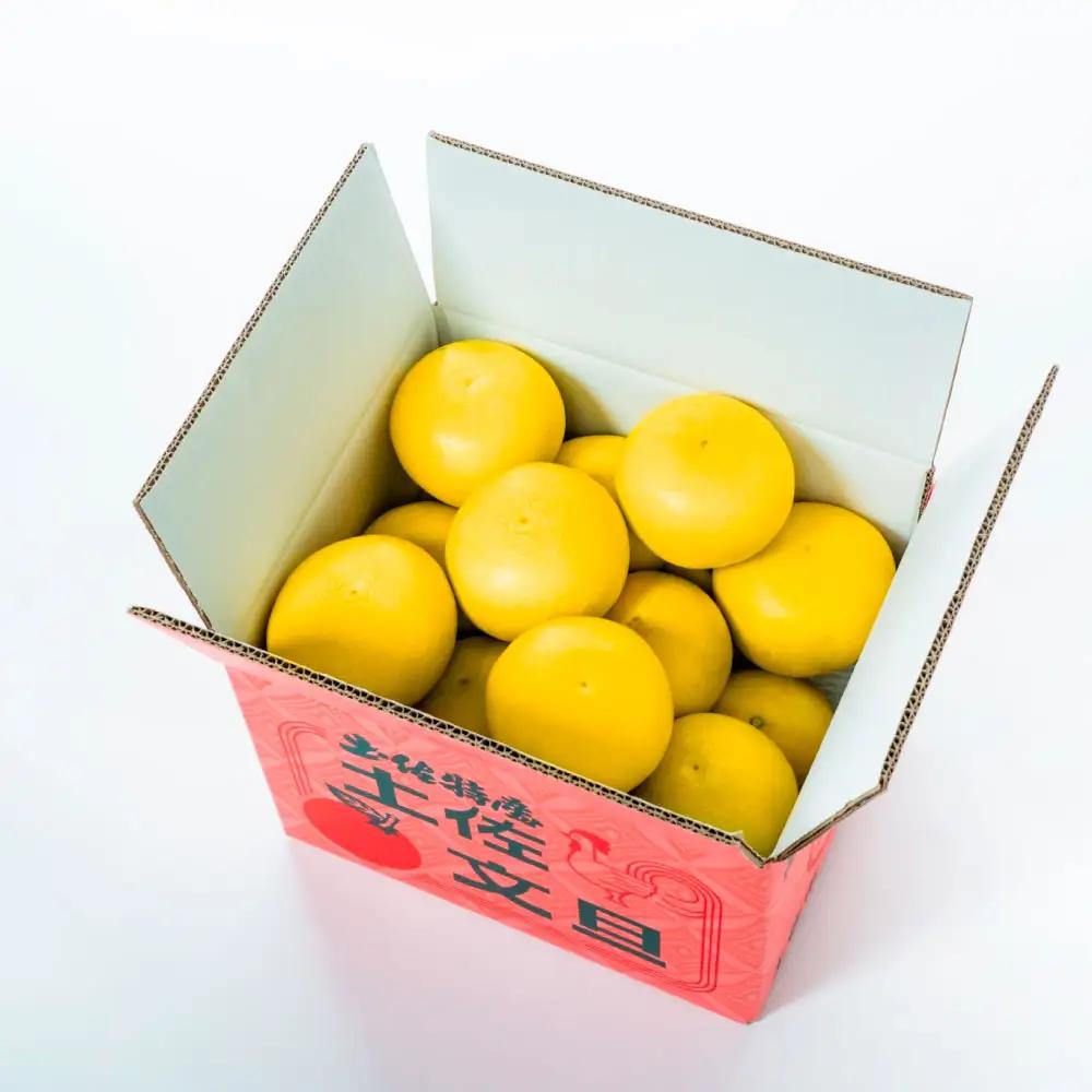 【先行予約】日本ギフト大賞2024受賞！園主こだわりの土佐文旦 約10kg（特大サイズ：14〜17玉） 高知県土佐市 【やの一果彩】 [BQAC006]