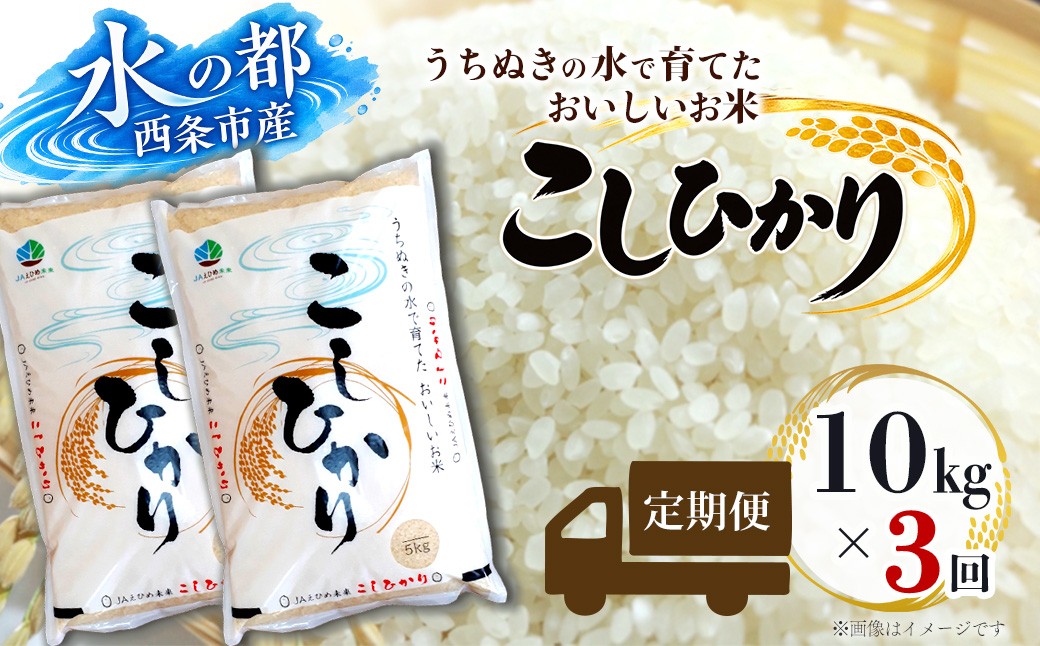 
                  【定期便3ヶ月】 米 令和8年産 新米 コシヒカリ 10kg（5kg×2袋） 精米 ｜ 愛媛県西条市産 新米 こしひかり 定期便 米 10㎏ 3回
                