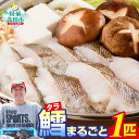 【ふるさと納税】旬の タラ まるごと1匹 約4kg 下処理可 [ 旬 タラ 鱈 たら 真鱈 真ダラ 冷蔵 鍋 セット 魚 鮮魚 天然 卵 白子 海鮮鍋 鱈鍋 新鮮 切り身 三枚おろし 直送 産地直送 獲れたて 料理 人気 おすすめ 冬 お取り寄せ ご当地 岸屋商店 ] 高評価 ★4.6